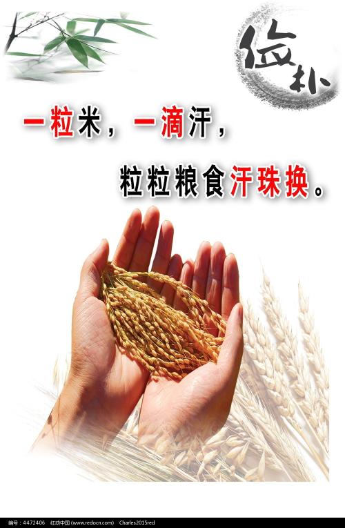 教育部学历证书电子注册备案表怎么打印申请